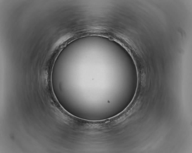 X0000110901402200906181313