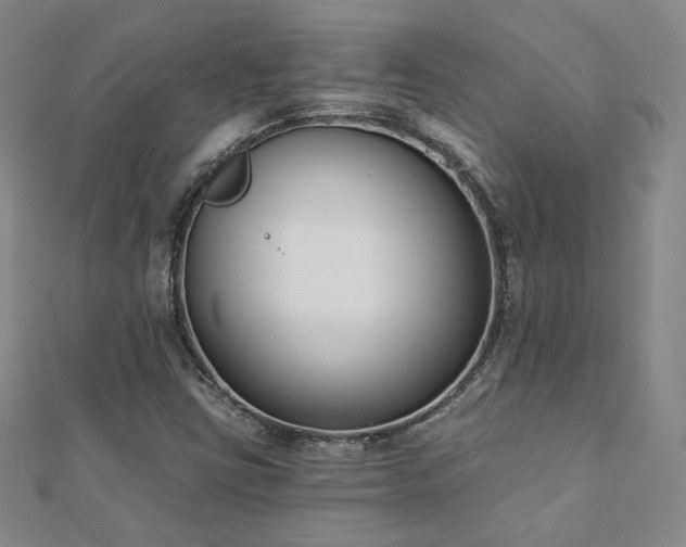 X0000110901403200906181313