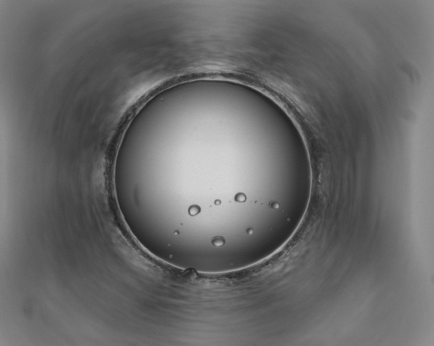 X0000110901404200906181313