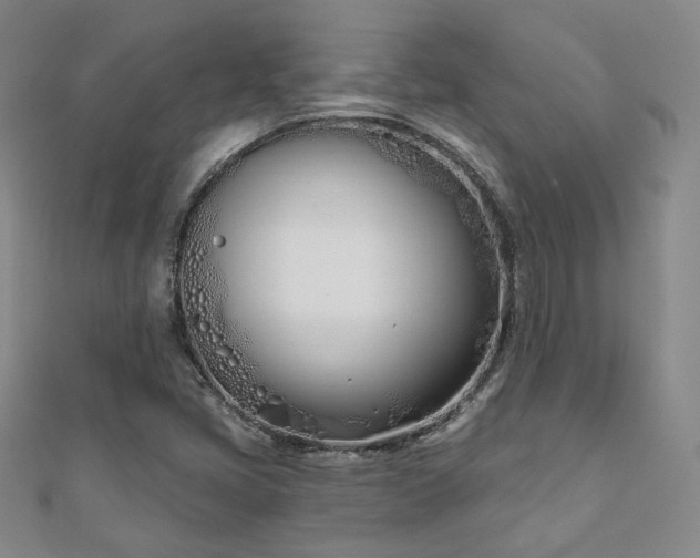 X0000110901405200906181313