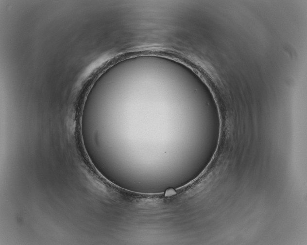 X0000110901406200906181313