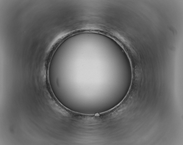 X0000110901408200906181313