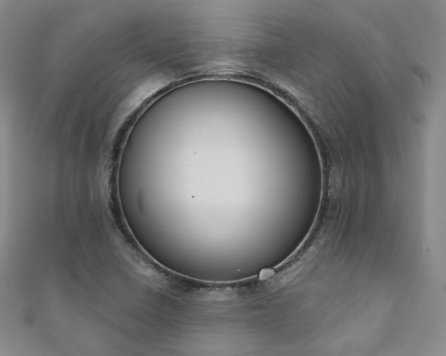 X0000110901410200906181313