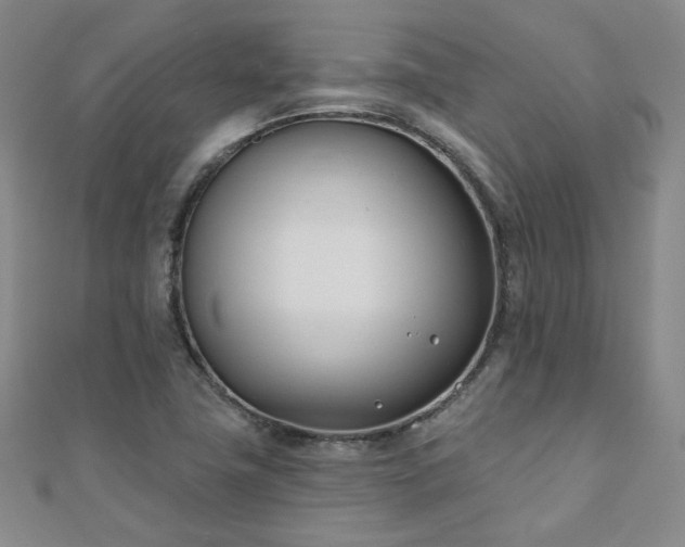 X0000110901411200906181313