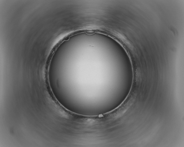 X0000110901412200906181313
