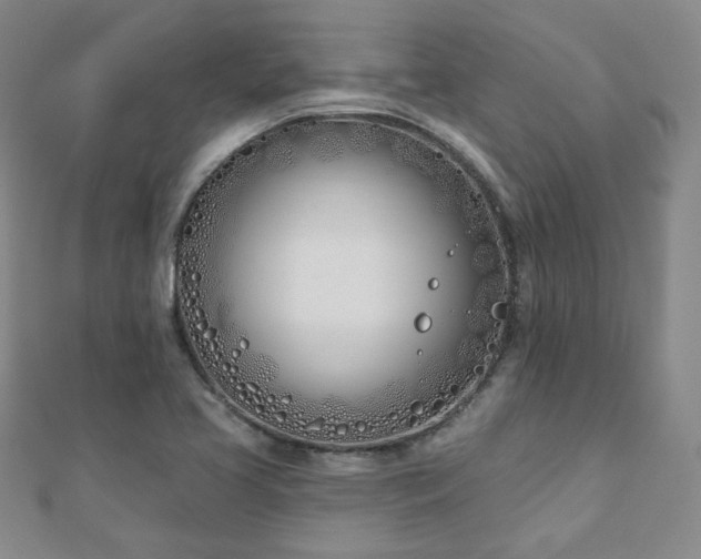 X0000110901413200906181313