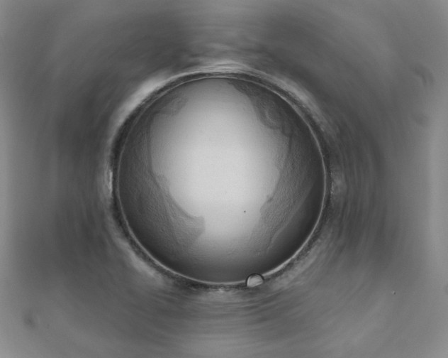 X0000110901414200906181313