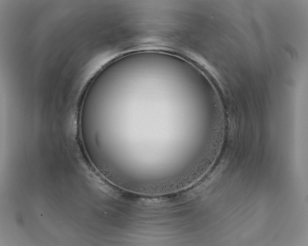 X0000110901415200906181313