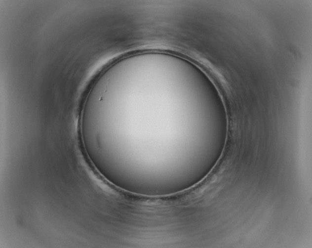 X0000110901416200906181313