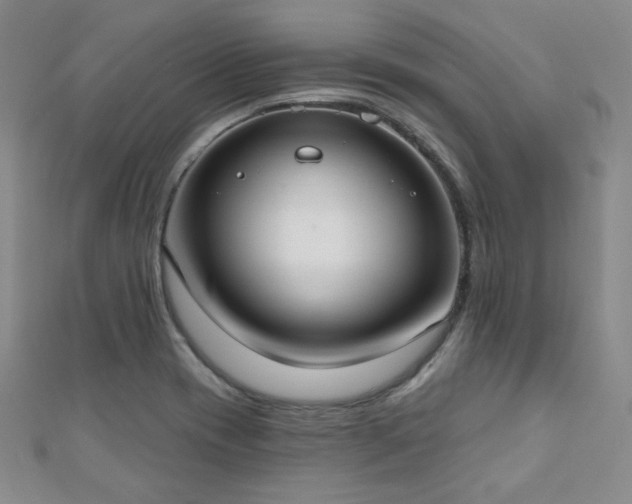 X0000110901417200906181313