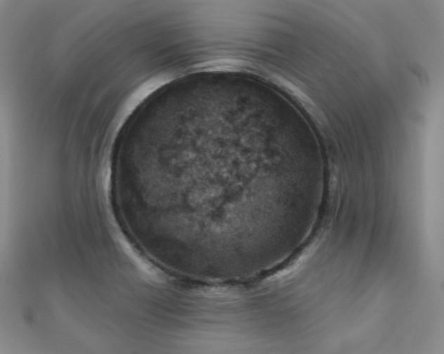 X0000110901418200906181313