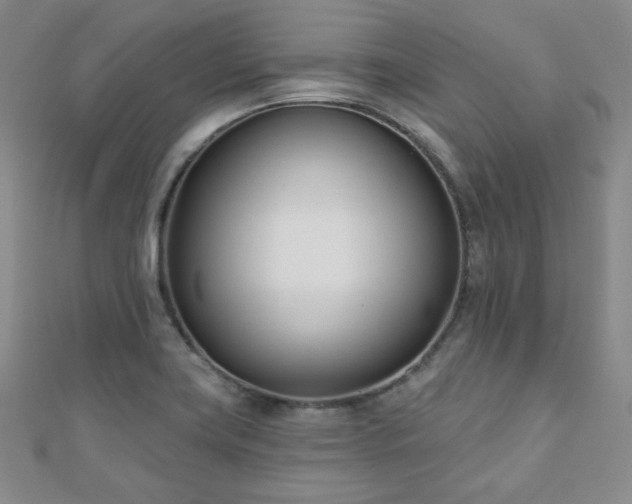 X0000110901419200906181313