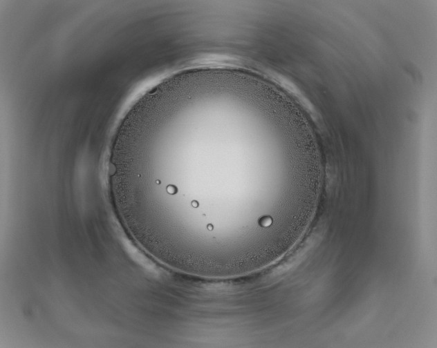 X0000110901421200906181314