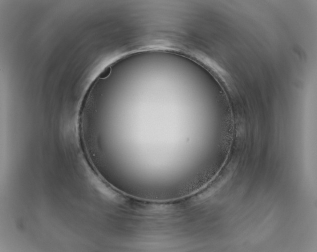 X0000110901423200906181314