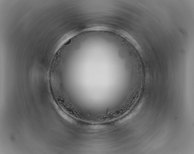 X0000110901425200906181314