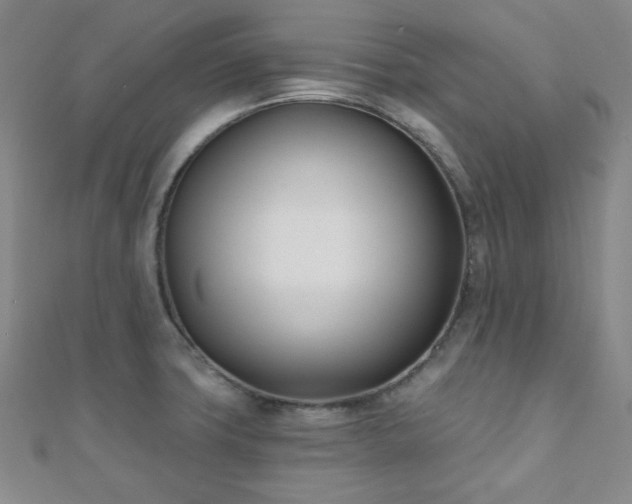 X0000110901427200906181314