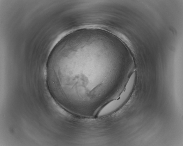 X0000110901428200906181314