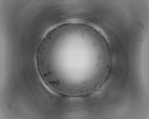X0000110901429200906181314