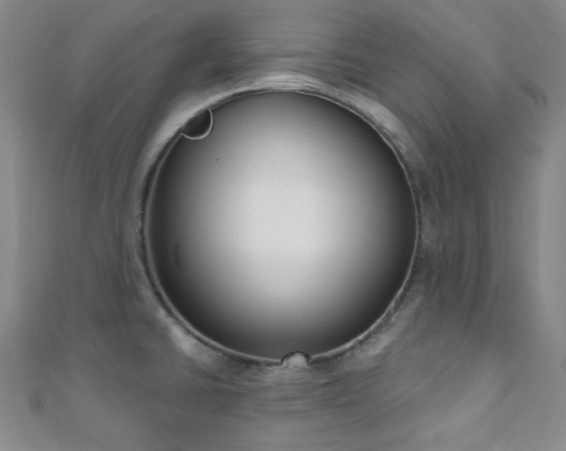 X0000110901430200906181314