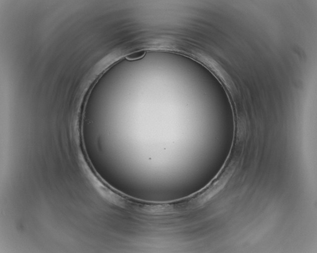 X0000110901434200906181314
