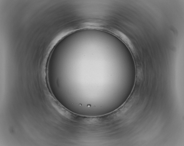 X0000110901435200906181314