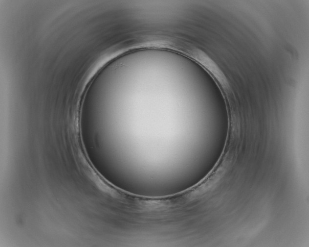 X0000110901436200906181314