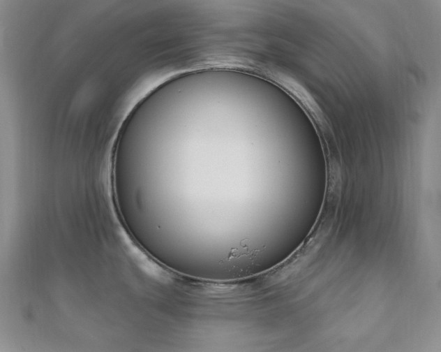 X0000110901439200906181314