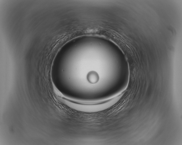 X0000110901441200906181313