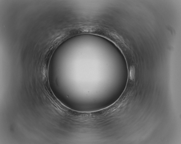 X0000110901444200906181313