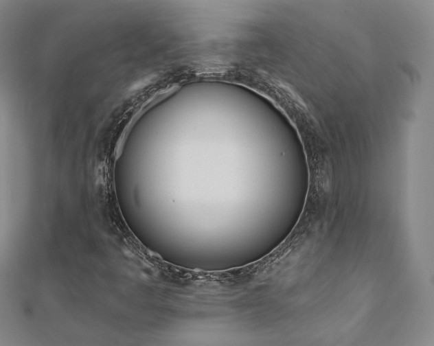 X0000110901445200906181313