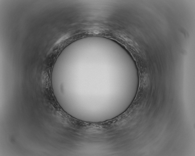 X0000110901446200906181313
