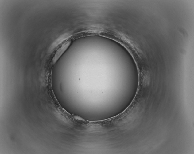 X0000110901448200906181313