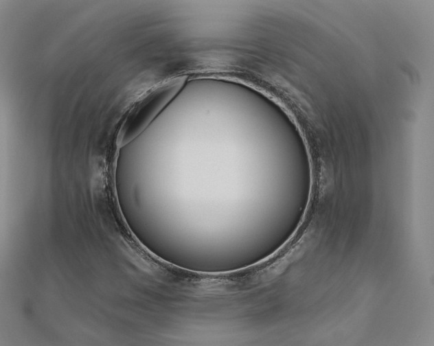 X0000110901449200906181313