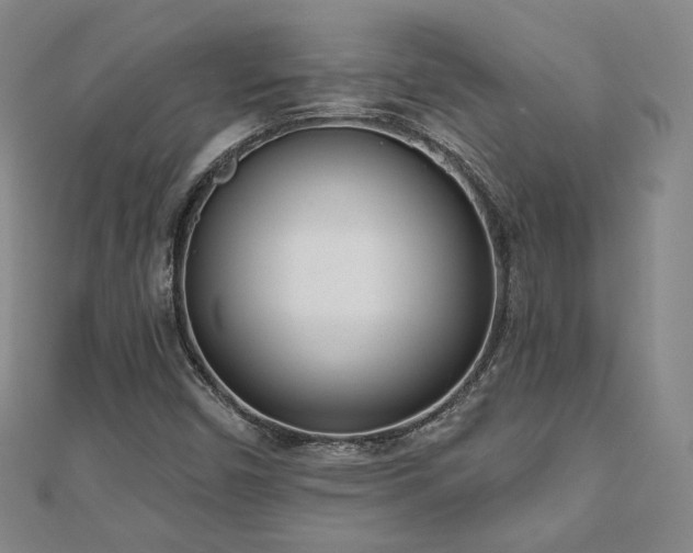 X0000110901450200906181313