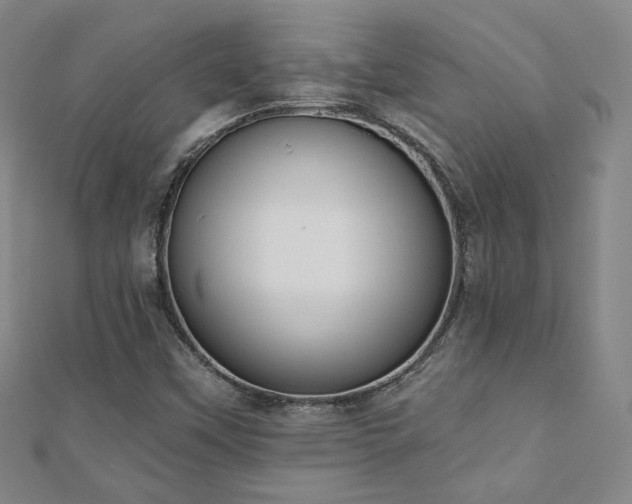 X0000110901451200906181313