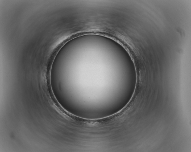 X0000110901452200906181313