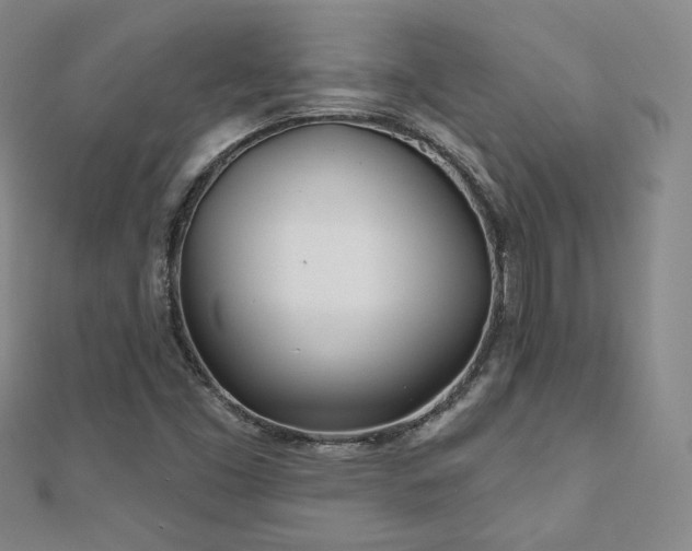 X0000110901453200906181313