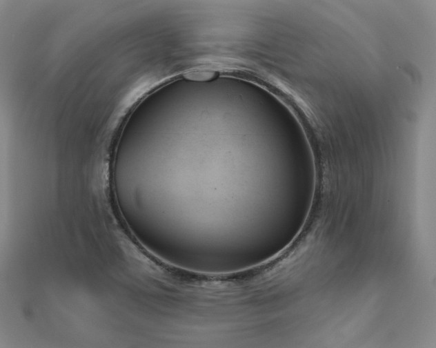 X0000110901459200906181313