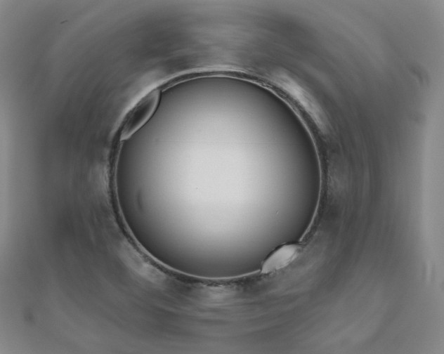 X0000110901460200906181313