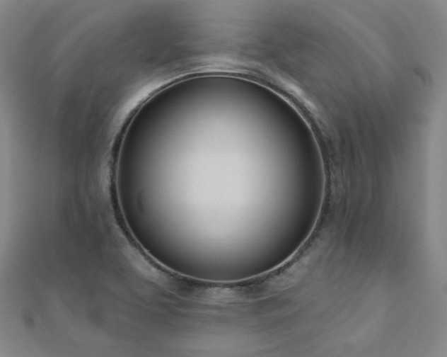 X0000110901463200906181313