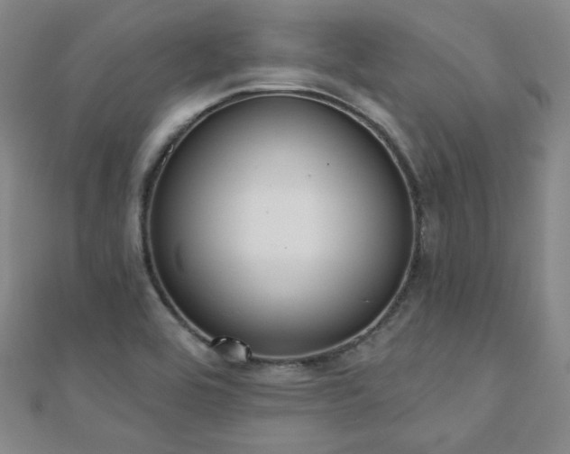 X0000110901464200906181313