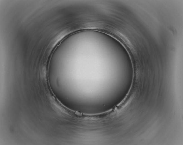 X0000110901465200906181313