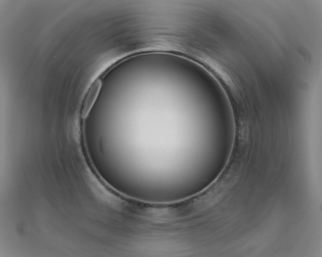 X0000110901468200906181313