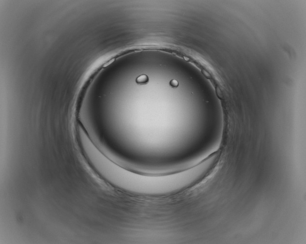 X0000110901469200906181313