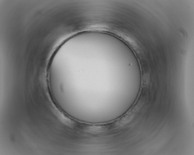 X0000110901470200906181313