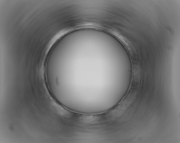 X0000110901474200906181313