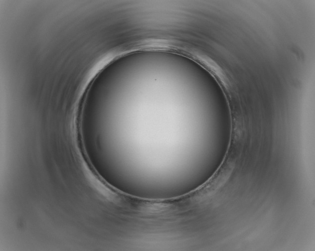 X0000110901475200906181313
