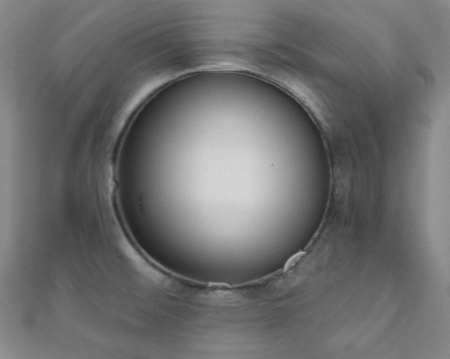 X0000110901476200906181313