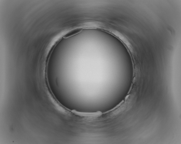 X0000110901477200906181313