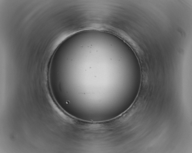 X0000110901479200906181313